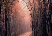 BB体育：官宣：骑士一年合同签回TT 上赛季场均3.3+3.6.