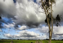 BB体育:暴打日本队却遭郎平弃用,转身效力土耳其的王一梅,如今怎样?.